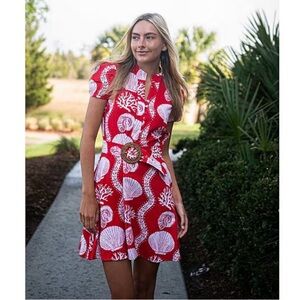 NWT SAIL to SABLE Sea Stripe Print Mandarin Collar Belted Shirt Dress